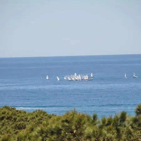 Apartamento En La Torre De S'abanell